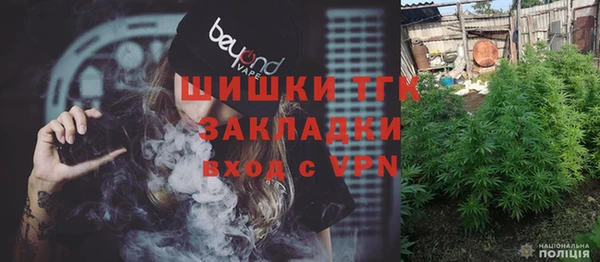 ГАЛЛЮЦИНОГЕННЫЕ ГРИБЫ Балахна