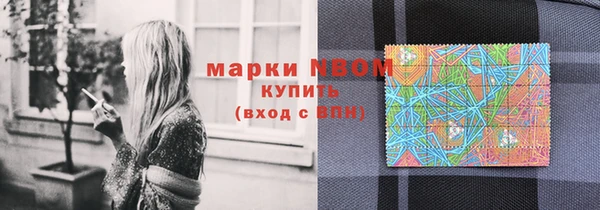 ГАЛЛЮЦИНОГЕННЫЕ ГРИБЫ Балахна