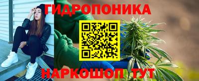 прущие грибы Кулебаки