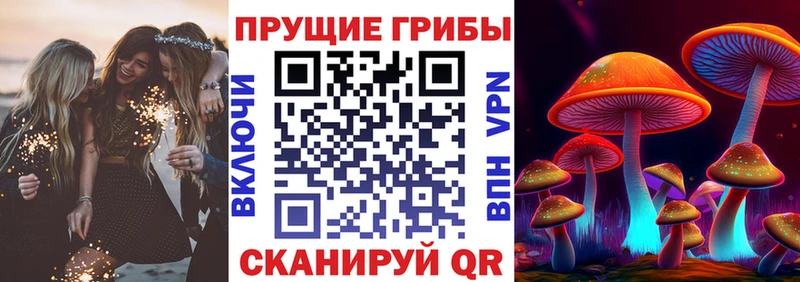 Галлюциногенные грибы мицелий как найти закладки KRAKEN Зима
