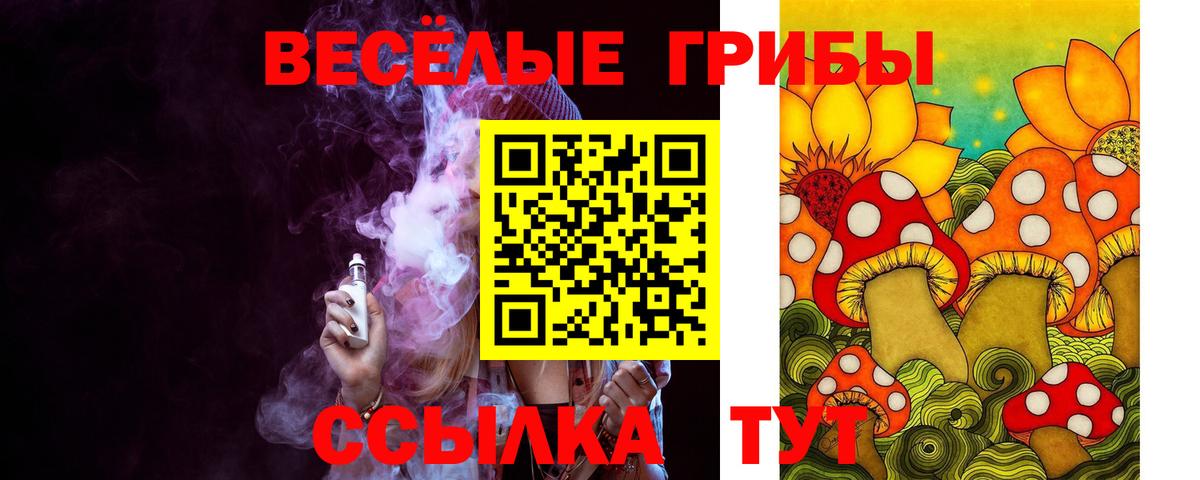 Галлюциногенные грибы Magic Shrooms Зима