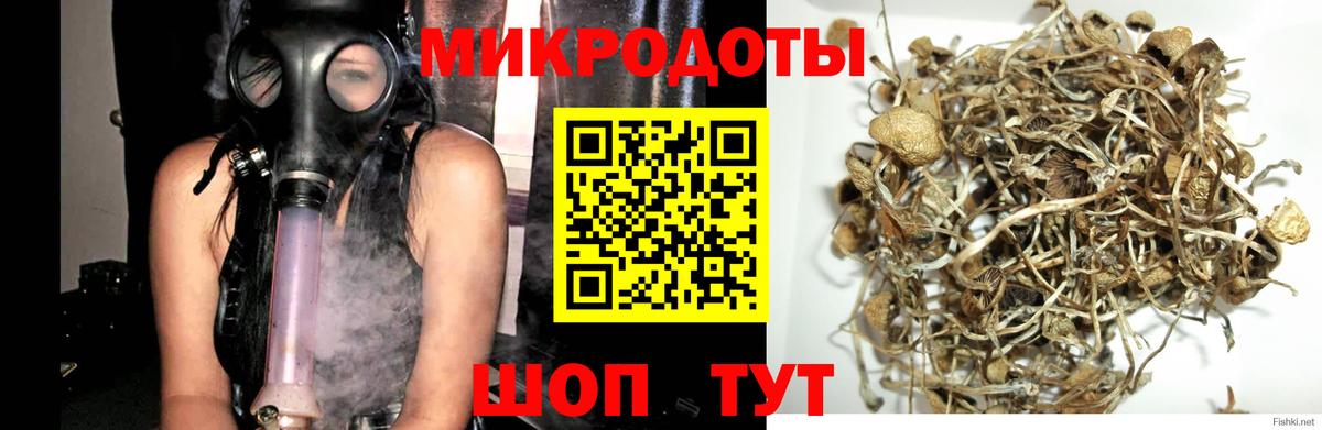 Галлюциногенные грибы прущие грибы  Вход с VPN  Зима 